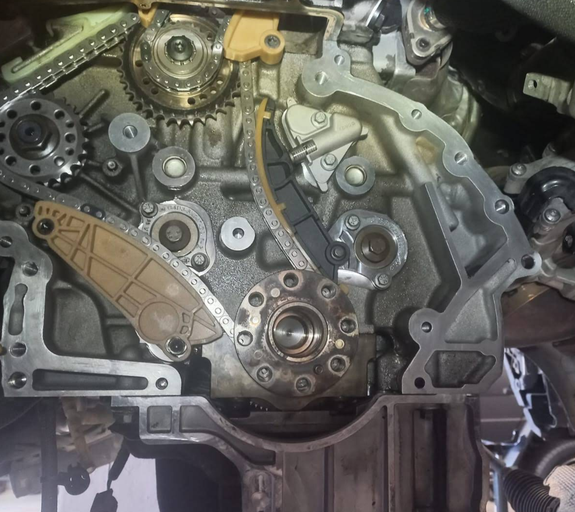 Engine timing chain assembly close-up